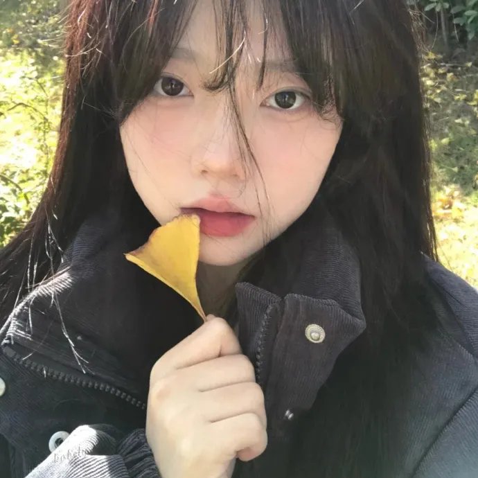 复原行动 第一季