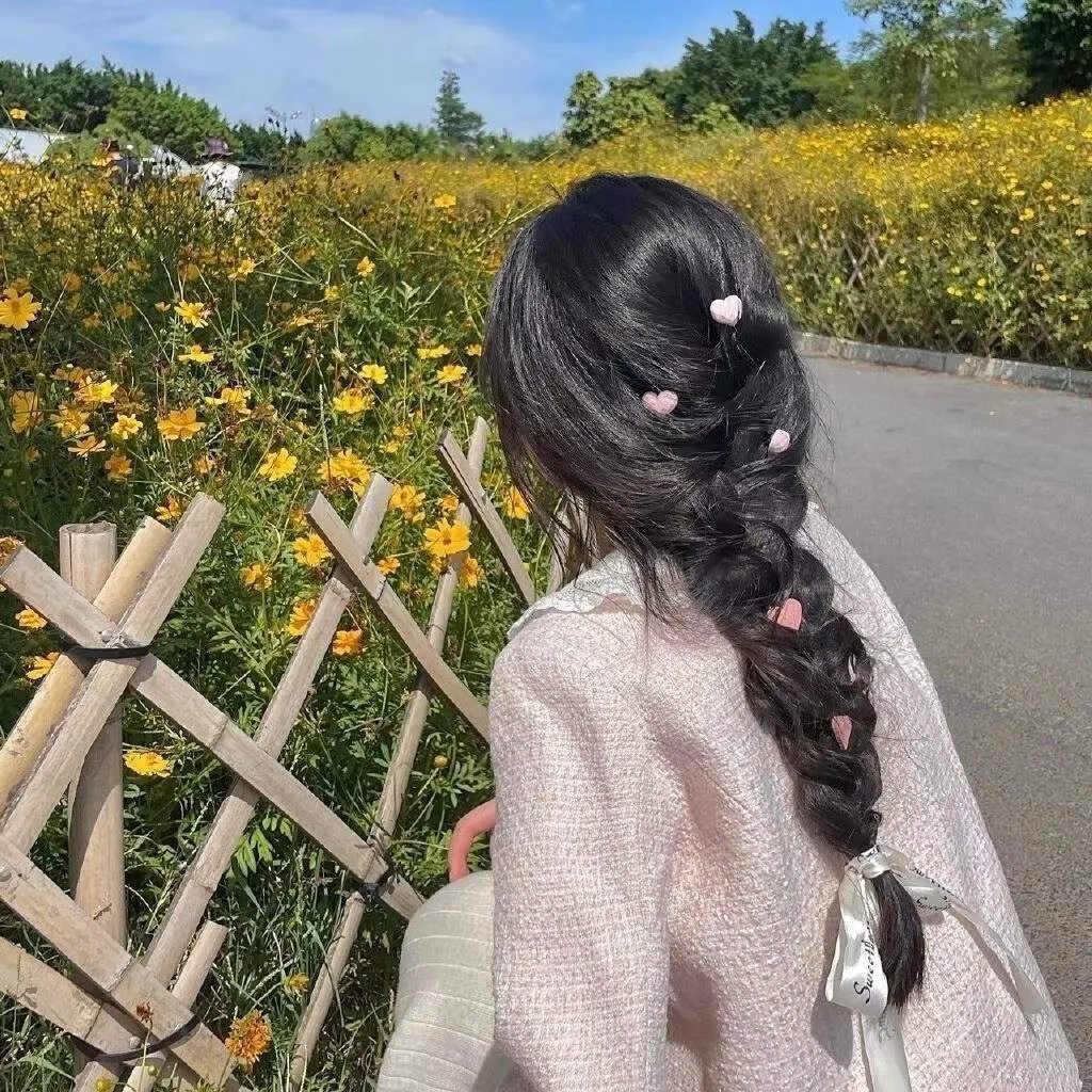爱猫之城